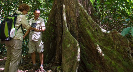 Guided Nature Walks