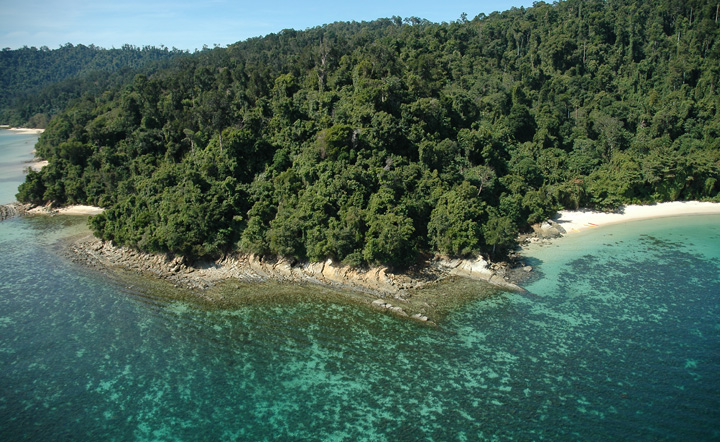 Coral Garden Marine Expedition