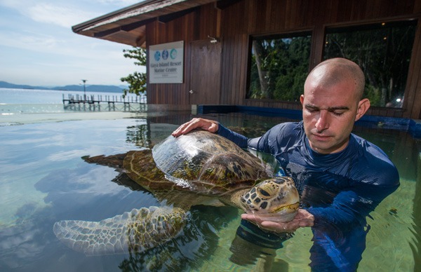 The Marine Biologist